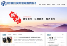 毕节市城市开发投资集团有限公司